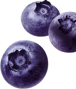 blueberry small